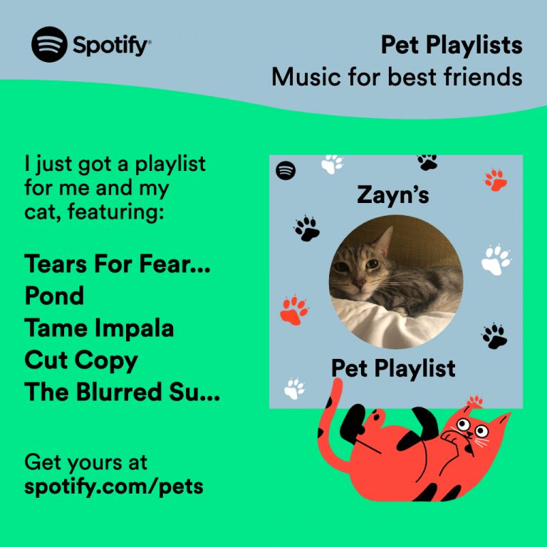 spotify dog music