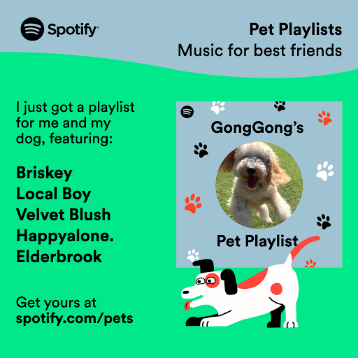 Home  Spotify for Pets