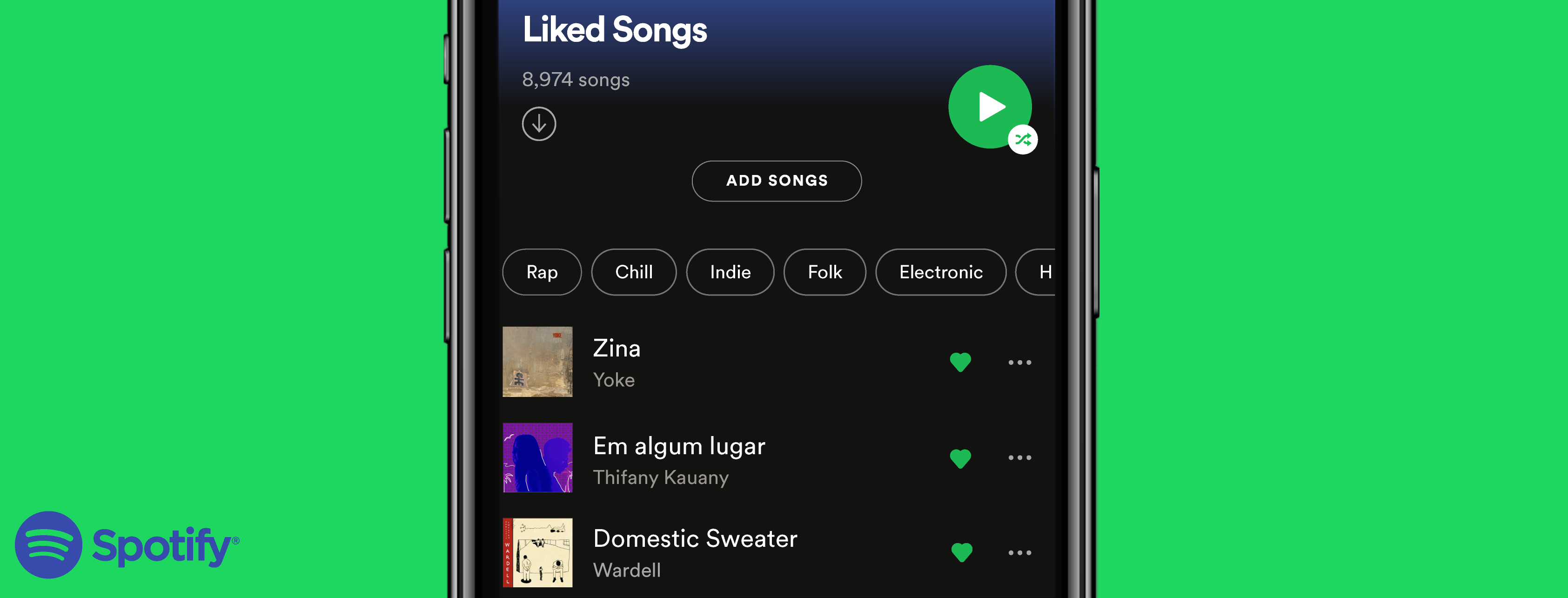 Songs that Spotify does not offer me 