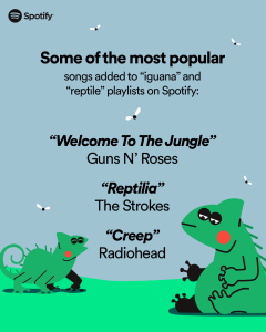 Home  Spotify for Pets