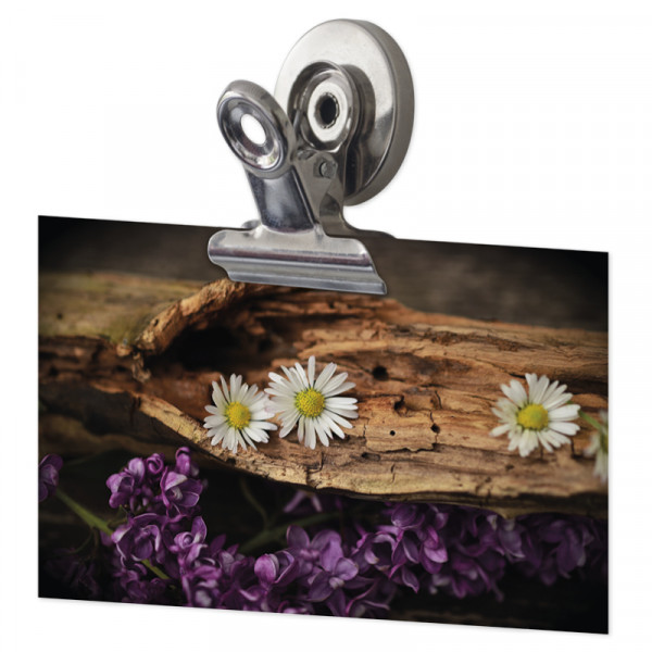 Magnet-Clips mit besonders guter Haftung, 31 mm, 3-tlg. Magnet-Clips mit besonders guter Haftung, 31 mm, 3-tlg.