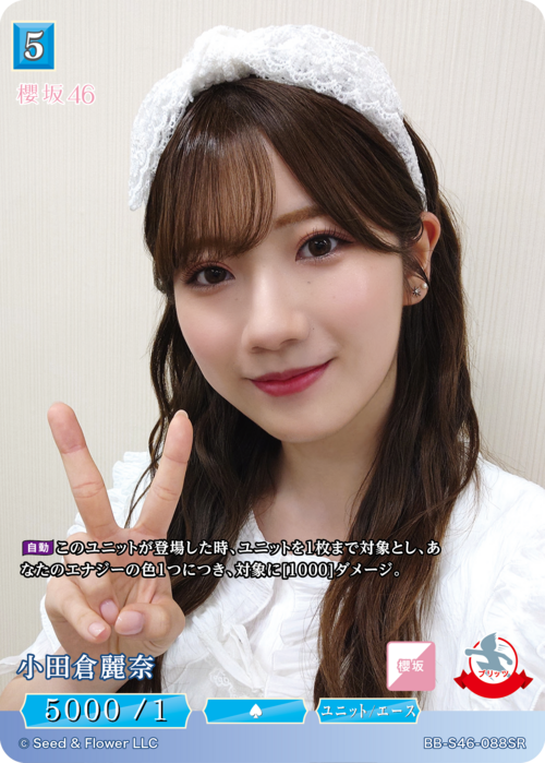 ビルディバイド公式サイト