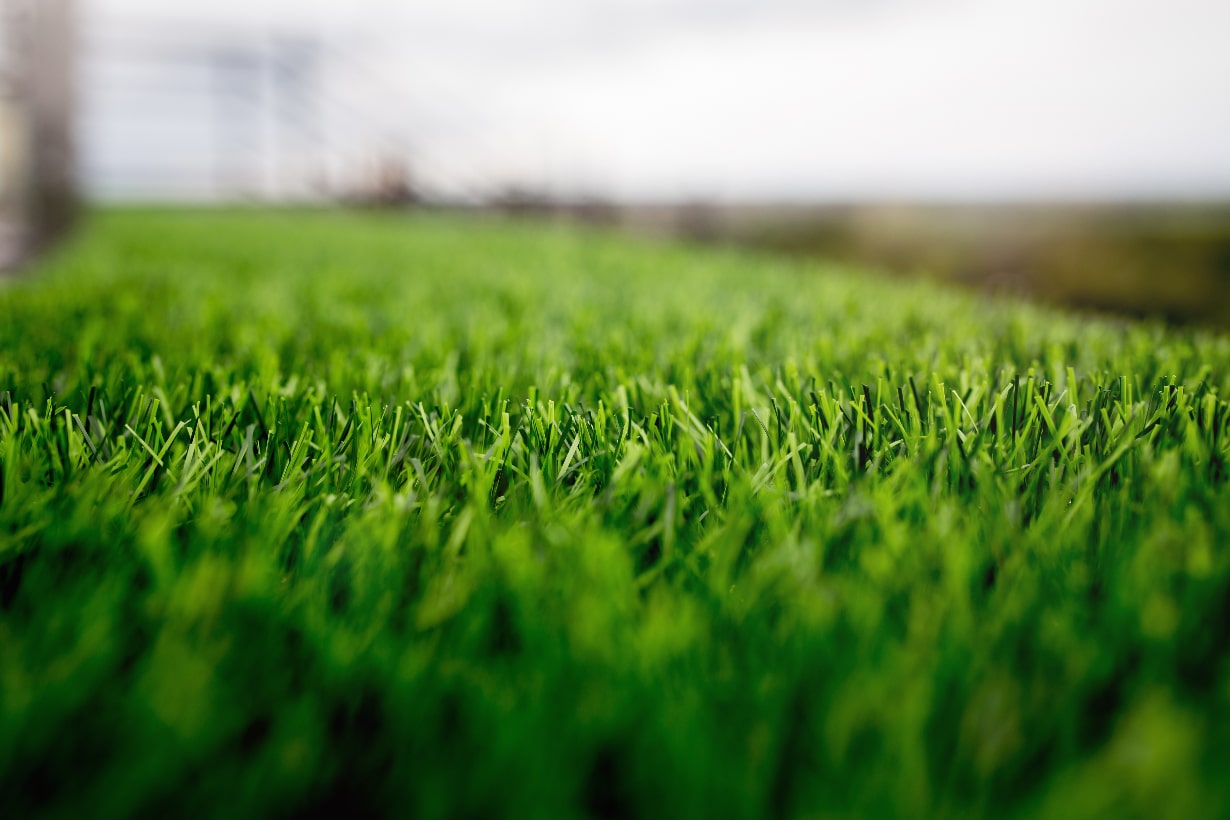 Plastic grass outdoor