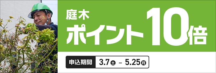庭木剪定 | くらしサポート | カインズ・リフォーム 庭木剪定 | くらしサポート | カインズ・リフォーム