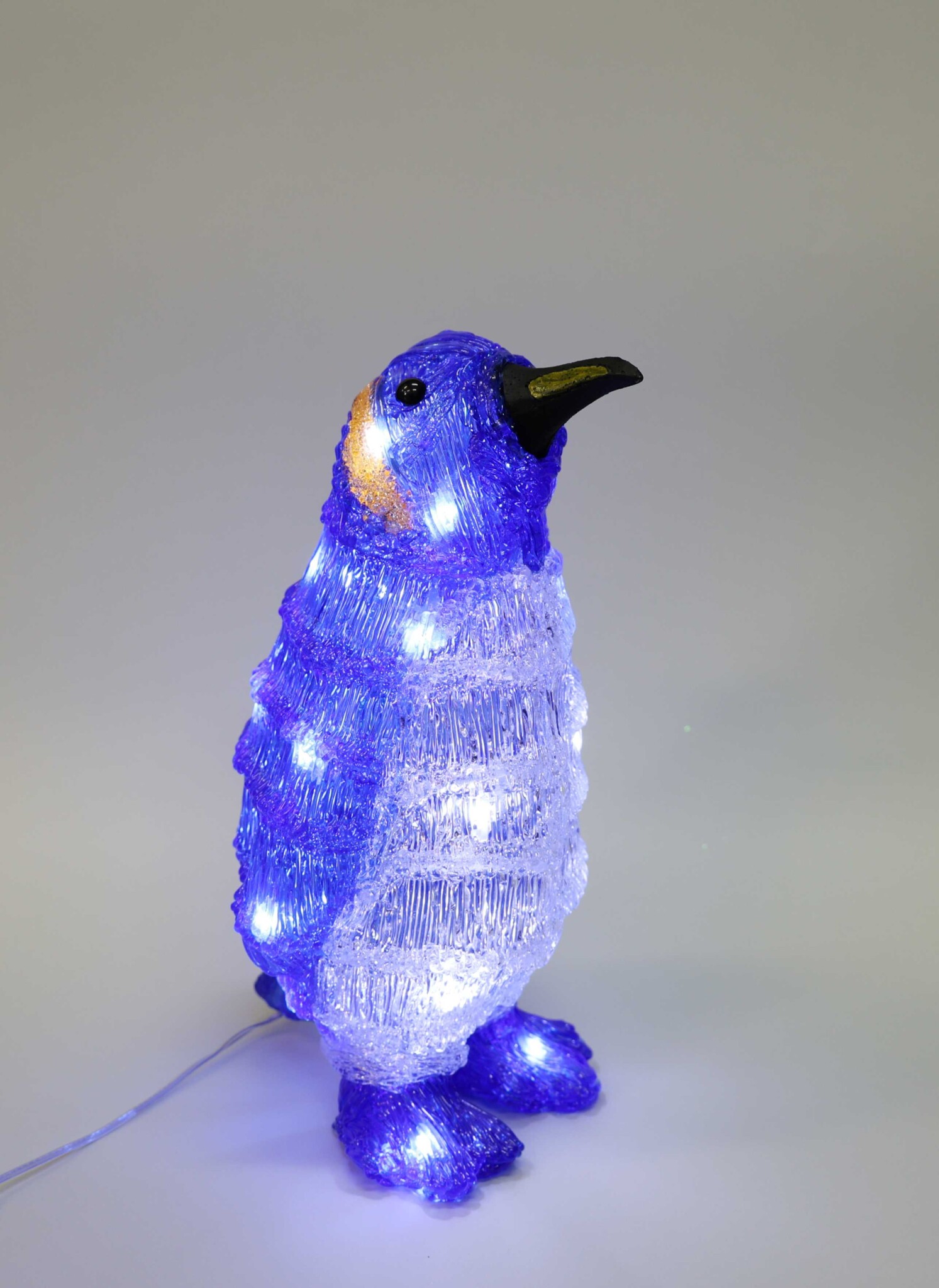 ブルーペンギン アダプター付 常点灯