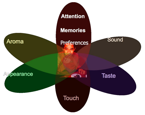 Sensory modalities