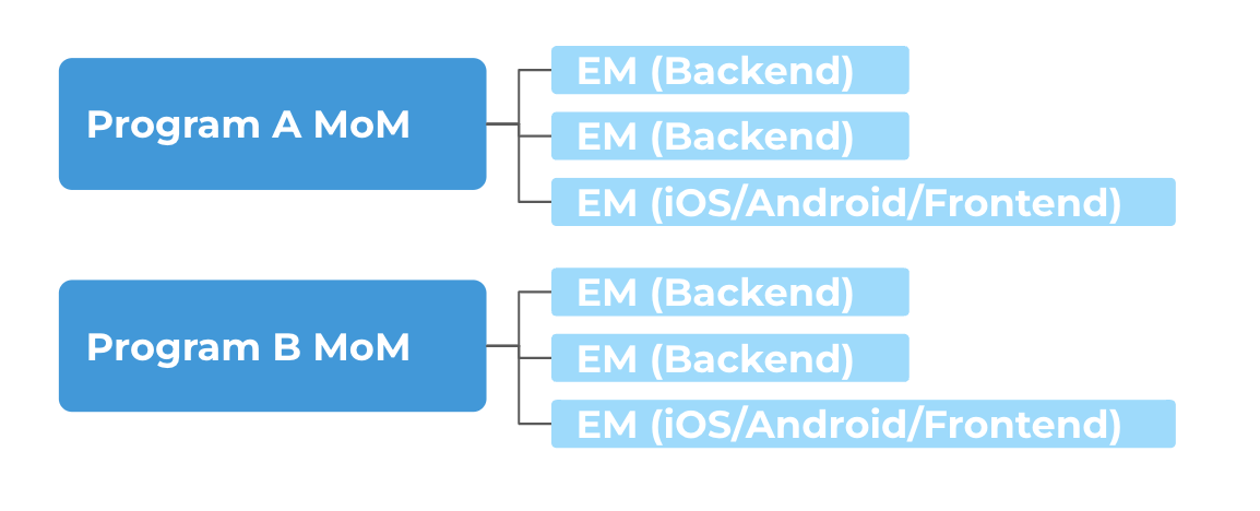 EM Org Structure