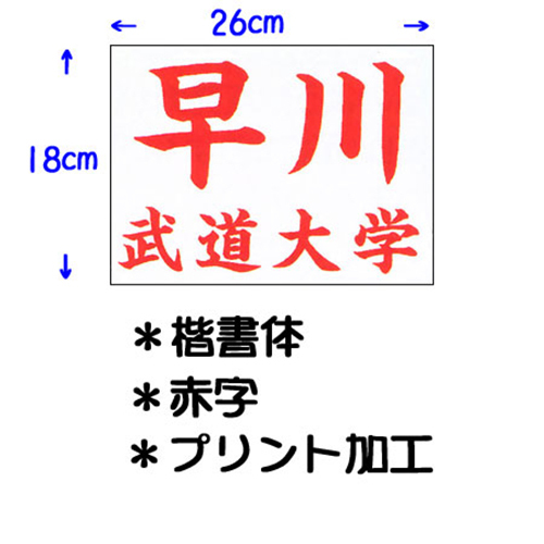 九櫻 KUSAKURA キッズ 公式試合用 柔道ゼッケン プリント加工 幼児用 26×18cm 赤 JT62618KA R ネーム加工料 柔道着 空手着 武道 剣道