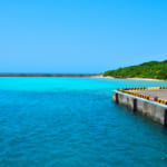 水曜どうでしょう 西表島