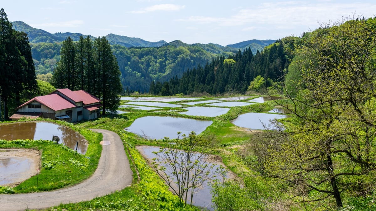 秋田県・藤里町のお土産6品をご紹介！ここは世界遺産白神山地の麓