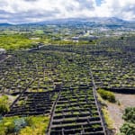 ピコ島のブドウ畑文化の景観（ポルトガル世界遺産）