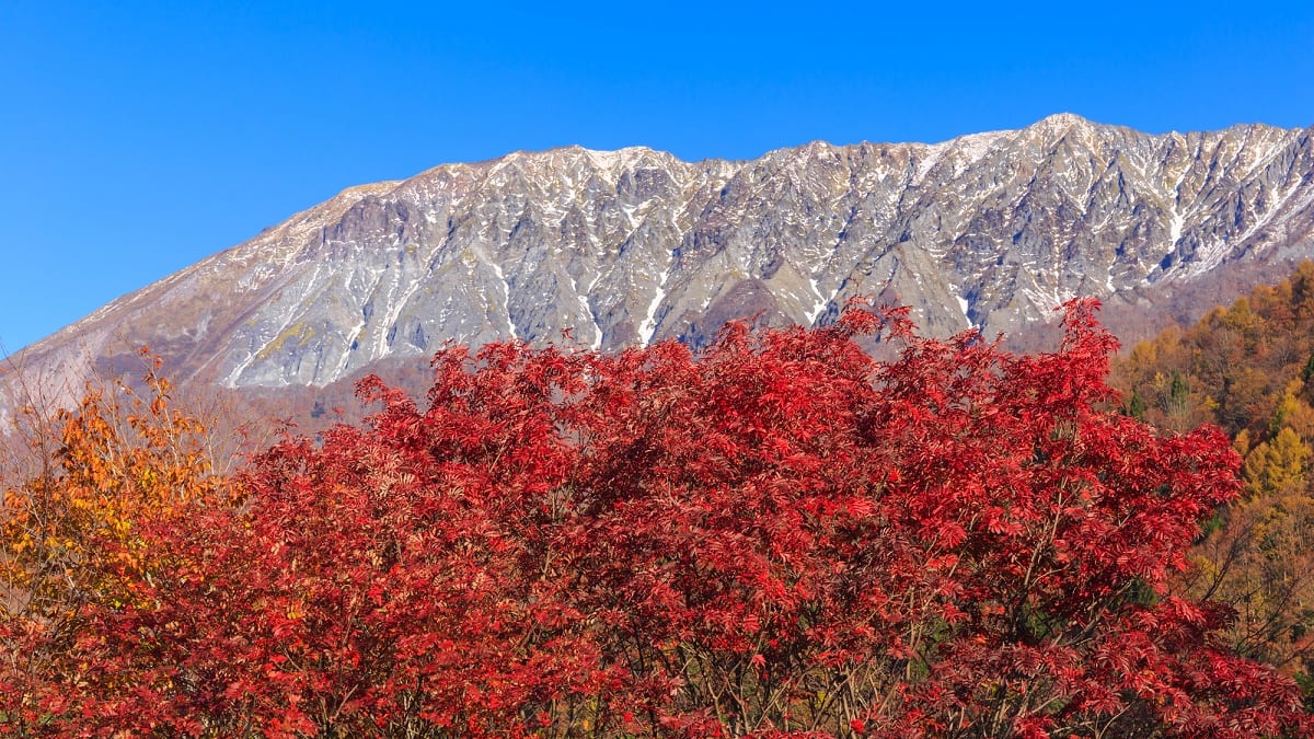 【鳥取県】鍵掛峠の観光情報！|奥大山の紅葉絶景や田舎スポットも