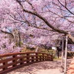 伊那市高遠城址公園