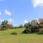 水曜どうでしょう 夏野菜スペシャル 聖地