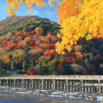 【京都観光・洛西】紅葉の嵐山　渡月橋