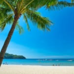 セブ島のイメージ