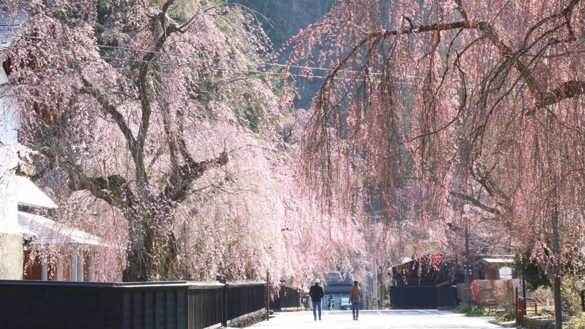 週末タイムトリップ！角館で武家屋敷とご当地観光グルメ巡り13選