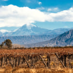 メンドーサ 観光