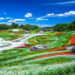 みちのく杜の湖畔公園