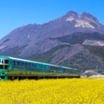 湯布院　由布岳と菜の花畑を走る観光列車「ゆふいんの森」