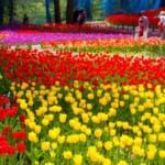 雪谷川ダムフォリストパーク