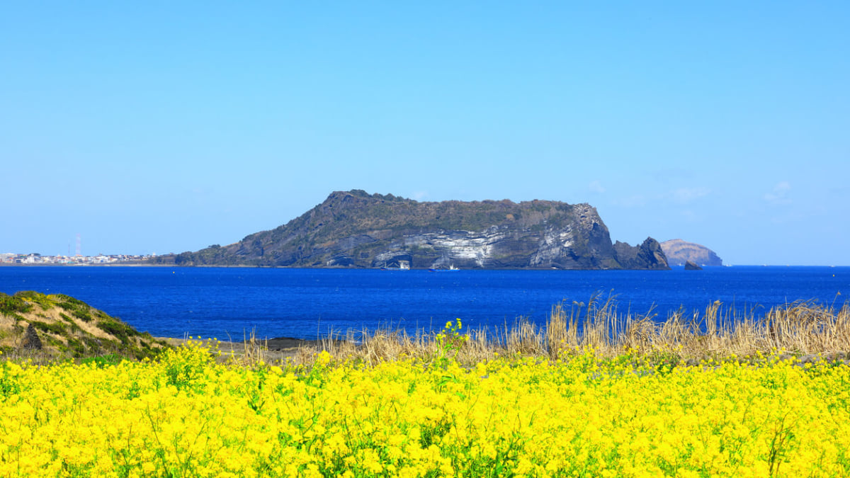 済州島の観光スポットおすすめ19選｜韓国チェジュ島旅行