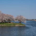 岡堰水神岬公園