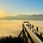 田子山展望所　そらふねの桟橋