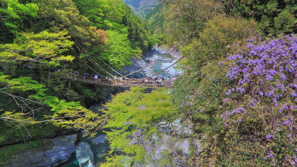 徳島県三好市の秘境祖谷渓で「かずら橋」を満喫する旅4選