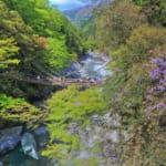 かずら橋 祖谷渓