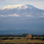 ケニア山国立公園 観光