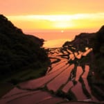 浜野浦の棚田の夕焼け