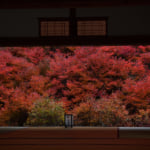 但馬安国寺 紅葉