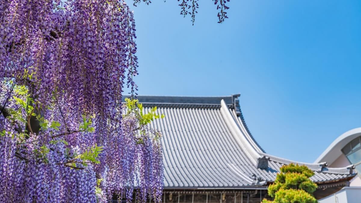 新幹線で行こう！岐阜県羽島市の魅力的な観光スポット7選