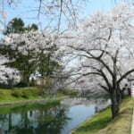 新庄城址（最上公園）