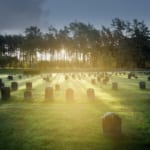 スコーグスシュルコゴーデン（スウェーデン世界遺産）