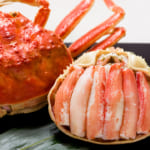 福井 カニ おすすめ ズワイガニ　4