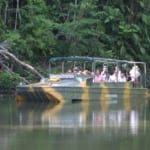 キュランダ･レインフォレステーション｜ケアンズの熱帯雨林を探検＆体験