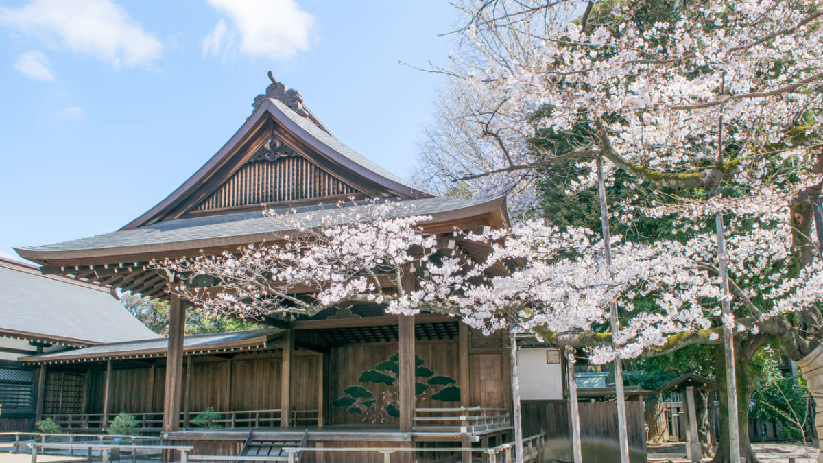 【東京】桜が綺麗な神社はどこ?|アクセス方法もご紹介 – skyticket 観光ガイド