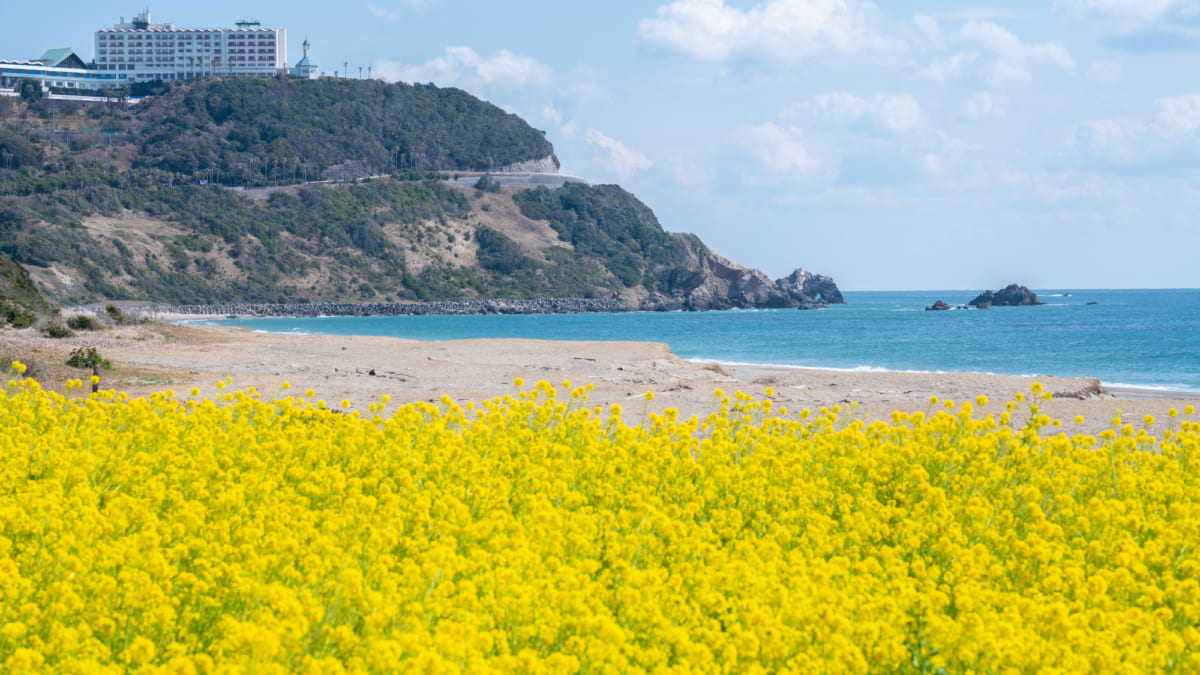 【愛知県】伊良湖周辺の必見おすすめ観光スポット5選！