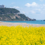 恋人の聖地、伊良湖