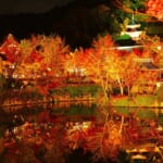 永観堂/禅林寺　紅葉ライトアップ（京都・東山）