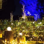 いばらきフラワーパークのイルミネーション