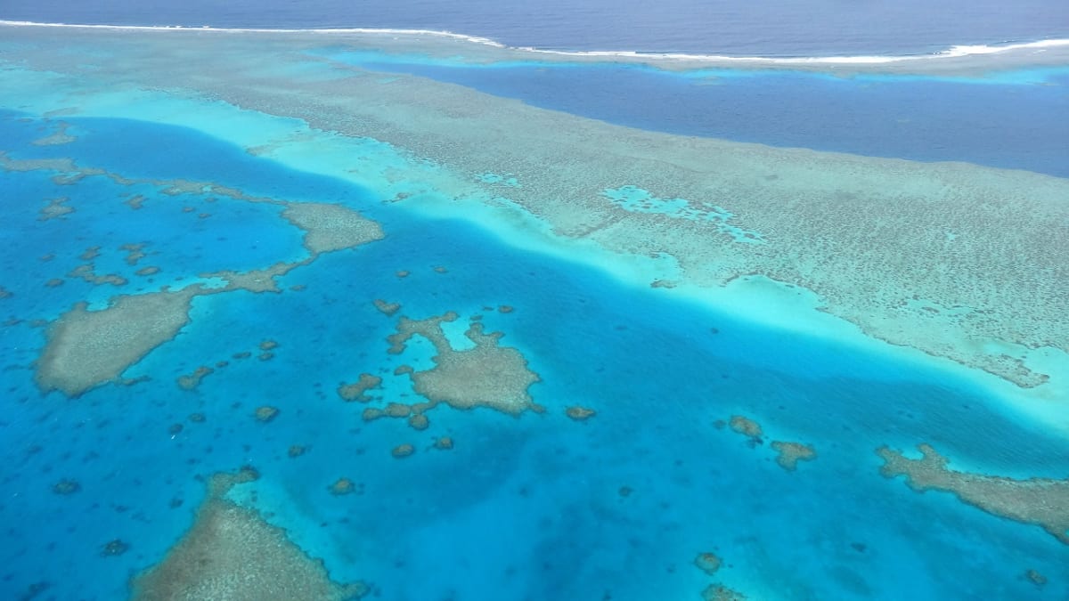 【世界遺産】ニューカレドニアの魅力をご紹介！海洋生物の竜宮城