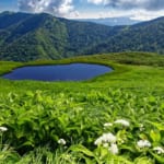 会津駒ヶ岳稜線の池塘