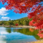 紅葉の毛越寺　庭園