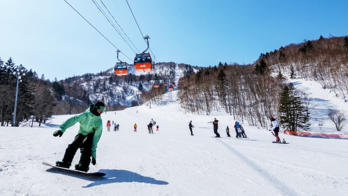 札幌　テイネ　子どもリフト券 25時間券 | ＜公式＞北海道札幌市のスキー場 スキー