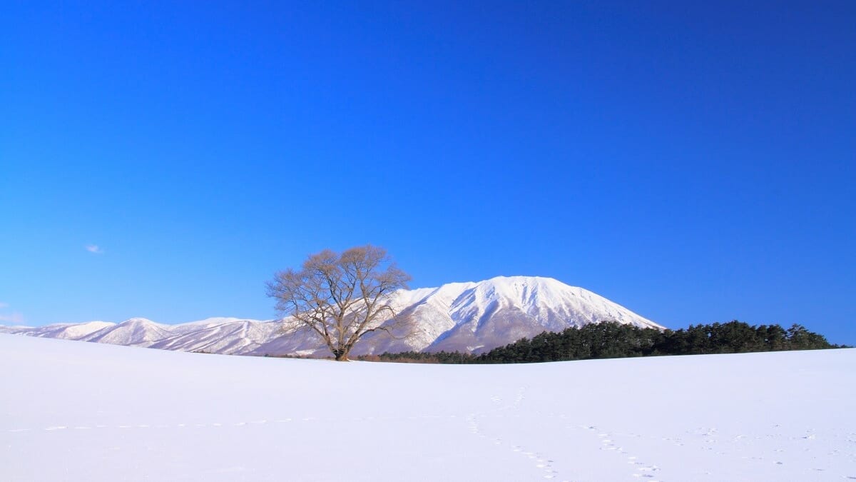 SNSでシェアしたい！岩手県雫石町のオススメ観光スポット10選