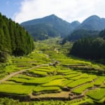 四谷千枚田の画像