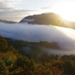 北広島町豊平いわみ路峠の雲海